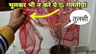 अगर घर में है तुलसी तो भूलकर भी न करे ये 5 गलतीयां Tulsi plant care [upl. by Dalt]