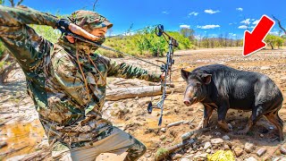 CRAZY BOWHUNTING on AUSTRALIAS VAST SWAMPLANDS [upl. by Nannette]