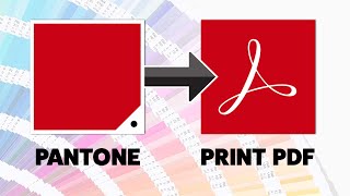 How to Export Pantone Spot Colours to PDF for Print in Adobe Illustrator [upl. by Anoid910]