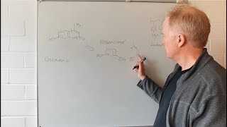 Ein Coumarin im Chitin von Skorpionen Synthese Einblicke in Fortgeschrittene Organische Chemie 17 [upl. by Ajan]