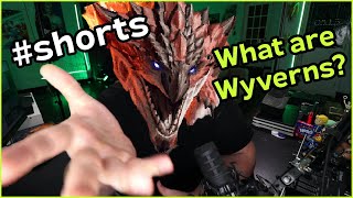 What is a Wyvern in DampD [upl. by Sherard]