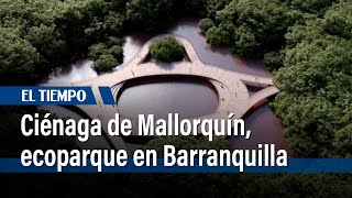 Barranquilla inaugura el ecoparque Ciénaga de Mallorquín  El Tiempo [upl. by Thoer84]