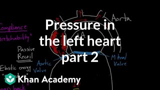 Pressure in the left heart  part 2  Circulatory system physiology  NCLEXRN  Khan Academy [upl. by Stout]