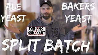 Brewers yeast VS Bakers yeast  Part 1 Fermentation [upl. by Soutor]