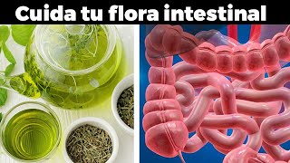 Cómo recuperar y mejorar nuestra flora intestinal [upl. by Lisle]