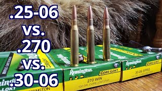 2506 rem vs 270 win vs 3006 Spfld Remington Corelokt Pork and Water Jugs Test [upl. by Kcirtapnaes574]