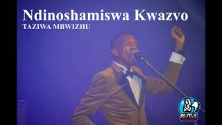 Ndinoshamiswa kwazvo  Taziwa Mbwizhu [upl. by Flor]