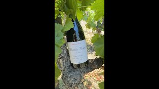 Austin Hope Rhone Blend 2021 [upl. by Itirahc]