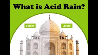 What is Acid rain  Acid Rain  Effects of Acid Rain [upl. by Lleder]