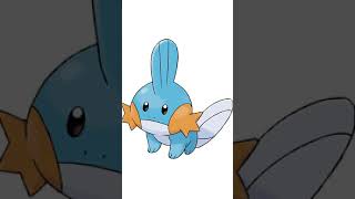 Facts about Mudkip you might not know  Pokemon Facts [upl. by Horlacher]