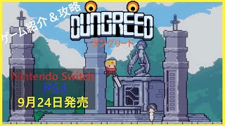 【ダングリードDungreed】攻略ガイド ゲーム紹介＆進め方 [upl. by Okiruy]