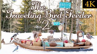 The Traveling Bird Feeder 2  Relax With Squirrels amp Birds 4K 1 Hour [upl. by Noitsuj]