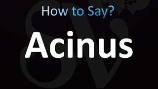 How to Pronounce Acinus [upl. by Dex361]