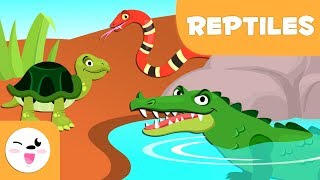 Les reptiles pour enfants  Les animaux vertébrés  Les sciences naturelles pour enfants [upl. by Ursel373]