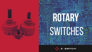 What are Rotary Switches [upl. by Nibroc637]