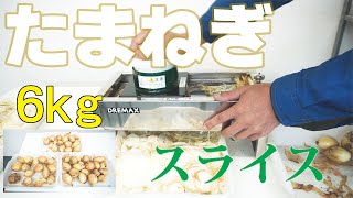 【業務用スライサー】たまねぎ6kgをスライス（ステンレス手動スライサー） [upl. by Annatnas]