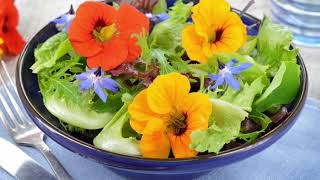 8 Reasons You Should Grow Nasturtiums [upl. by Zug]