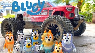 🚙 Bluey  Uncle Rad Stripes and Bandit Go Off Roading  Bluey and Bingo  Disney  ABC Kids🚙 [upl. by Brion]