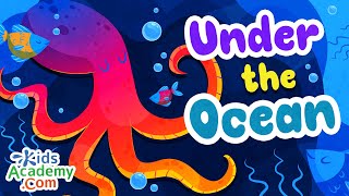 Under the Ocean All about the Ocean for Kids  Kids Academy [upl. by Rolfe254]