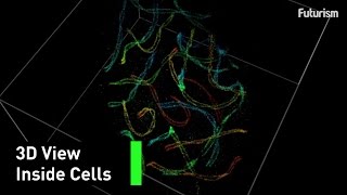 Now We Can See Inside Cells at a Nanoscale [upl. by Selestina]