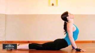 Bhujangasana  Steps and Benefits [upl. by Eentruok]