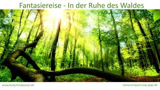 Fantasiereise  In der Ruhe des Waldes  herrlich entspannen oder einschlafen Vollversion [upl. by Rosemary]