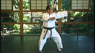 Motoburyu Naihanchi Shodan by Motobu Chosei slow [upl. by Pentheas]