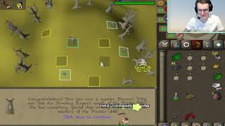 OSRS 99 Hunter Achievement [upl. by Anyel963]