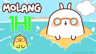 Molang  An Endless Summer  🌊 [upl. by Dina]