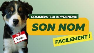 Comment apprendre à mon chien son nom  🐶❓🤷‍♀️ [upl. by Ecylla]