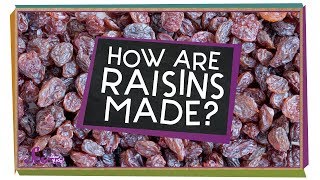 How Are Raisins Made [upl. by Romito]