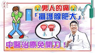 【男人的痛「攝護腺肥大」 中醫治療免開刀！】｜宏品中醫劉師宏 [upl. by Nereen]