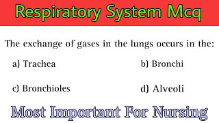 Respiratory System Mcq  respiratory system [upl. by Xavier458]