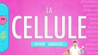 LA CELLULE  INTRODUCTION Partie 1 [upl. by Caesaria]