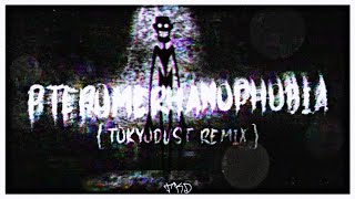 EZHALT amp YanderelMusic  Pteromerhanophobia TokyoDust Remix [upl. by Einafit269]