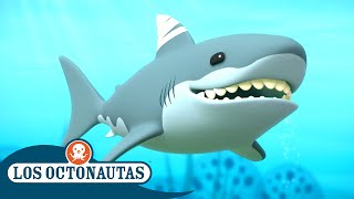 Los Octonautas  El gran tiburón blanco  Temporada 2  Episodios Completos [upl. by Notrab]