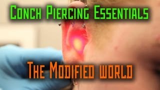 Conch Piercing Essentials THE MODIFIED WORLD [upl. by Nosde213]