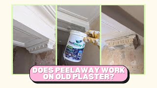 How to use Peelaway 7 on plaster mouldings and corbels 🛠  Sharns House [upl. by Ajup]