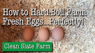 How to HardBoil Farm Fresh Eggs Perfectly [upl. by Neibart691]