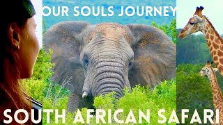 Van Life South Africa  Safari  Wonders of the Wild  Singing to Elephant  Let’s ReWild Our World [upl. by Launame]