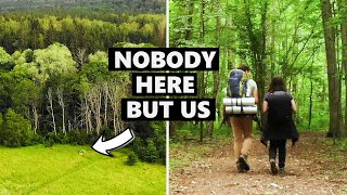 WILD CAMPING All Alone In Gauja National Park [upl. by Valente]