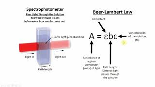 Beers Law Overview [upl. by Rosenstein]