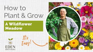 Tutorial on Planting amp Growing A Wildflower Meadow [upl. by Mcbride]