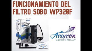 Como instalar un filtro interno de 500 litros [upl. by Renate988]