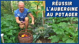 RÉUSSIR LAUBERGINE AU POTAGER ou pas [upl. by Mariquilla]