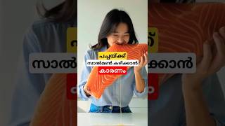 സാൽമൺ പച്ചക്ക് കഴിക്കാൻ കാരണം why do we eat raw salmon malayalam shorts [upl. by Regnij]