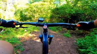 Mountain Biking at Nockamixon State Park  Haycock Run and Eastern Woods Trails [upl. by Allertse859]