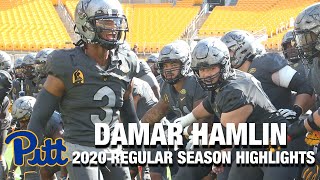 Damar Hamlin 2020 Regular Season Highlights  Pittsburgh DB [upl. by Nodnil]