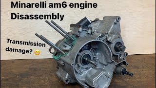 Minarelli Am6 Engine Disassembly [upl. by Garzon]