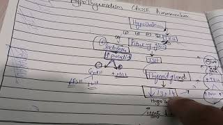 How can hypothyroidism cause Amenorrhoea in females [upl. by Adnorrehs291]